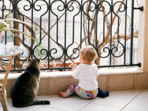 Tu hijo juega en el balcón con el gato Lo que debes tener en cuenta