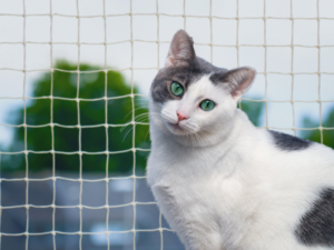 ¿Las mallas de nylon son seguras para gatos de piso alto?